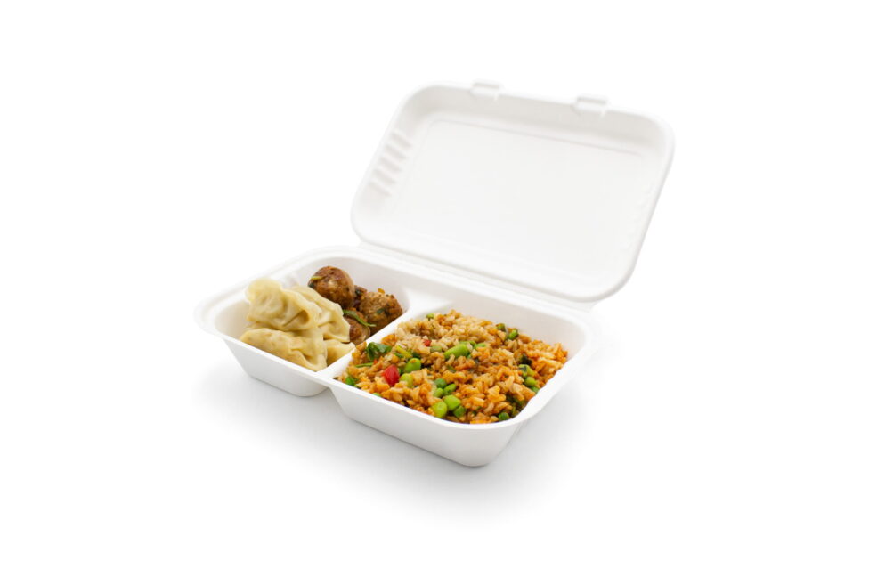 Bagasse Lunch Box - 9.8 x 6" (2 Compartment)