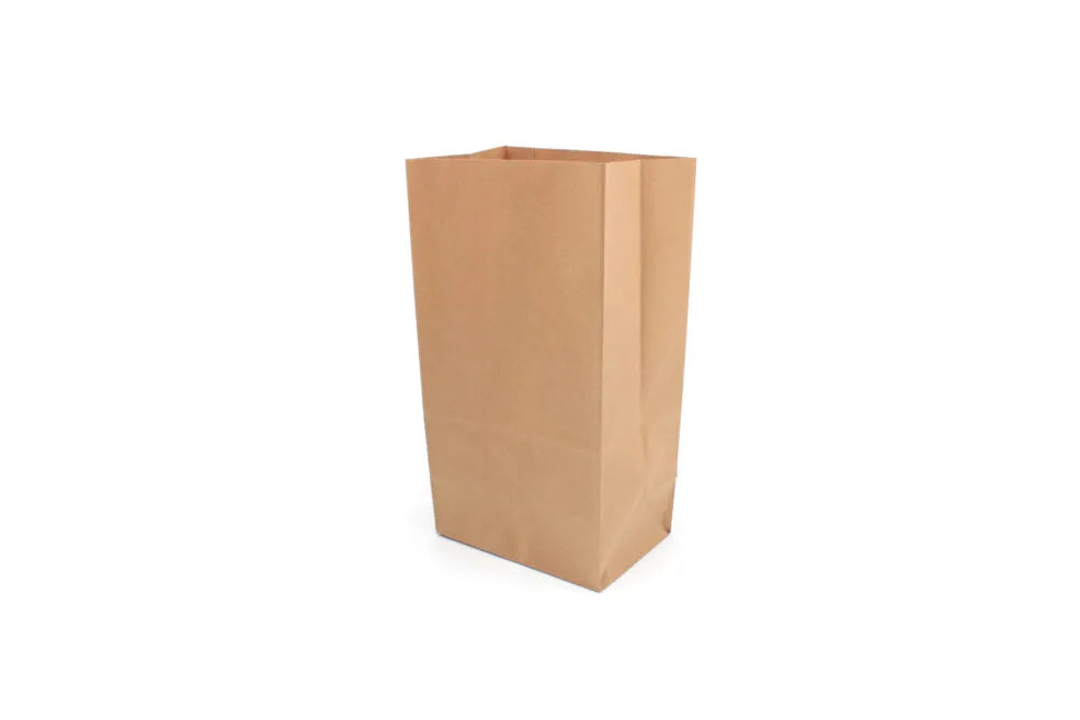 Medium Kraft Grab Bag 18x12x34 cm