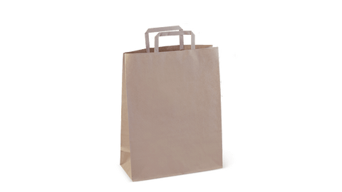 Brown Paper Carry Bag (300 x 240 x 100)